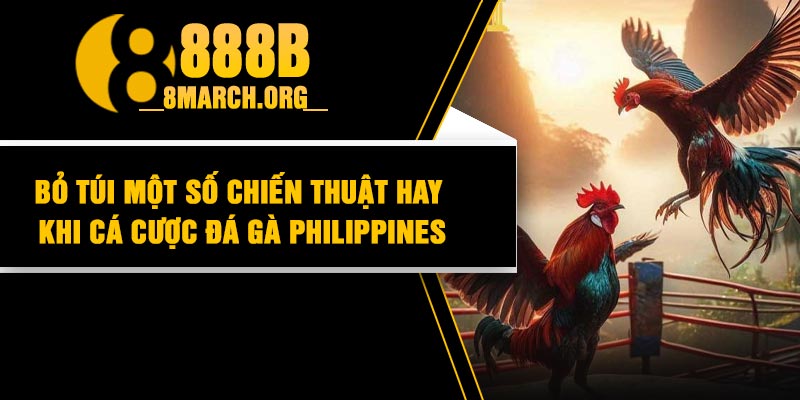 Bỏ túi một số chiến thuật hay khi cá cược đá gà Philippines