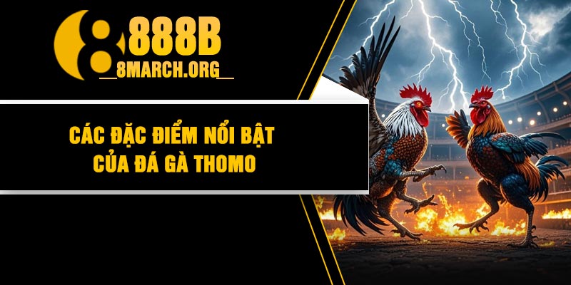 Các đặc điểm nổi bật của đá gà Thomo