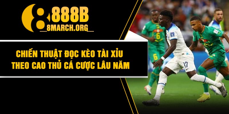 Chiến thuật đọc kèo tài xỉu theo cao thủ cá cược lâu năm