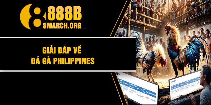 Giải đáp về đá gà Philippines