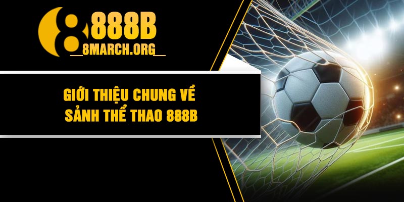 Giới thiệu chung về sảnh thể thao 888B