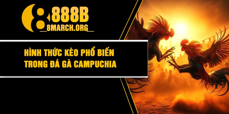 Hình thức kèo phổ biến trong đá gà Campuchia
