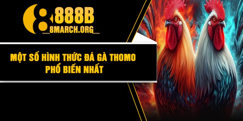 Một số hình thức đá gà Thomo phổ biến nhất