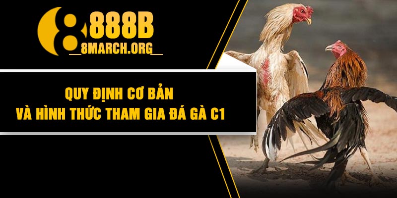 Quy định cơ bản và hình thức tham gia đá gà C1