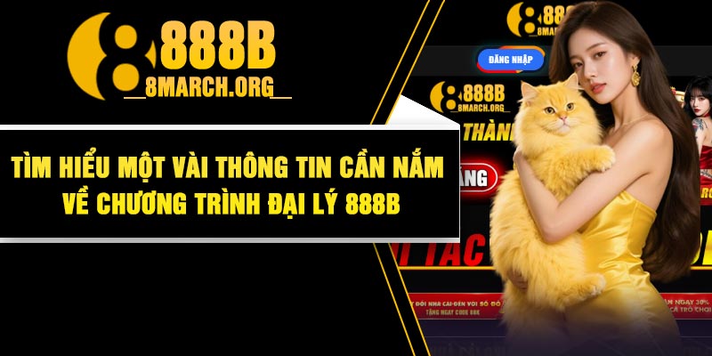 Tìm Hiểu Một Vài Thông Tin Cần Nắm Về Chương Trình Đại Lý 888B
