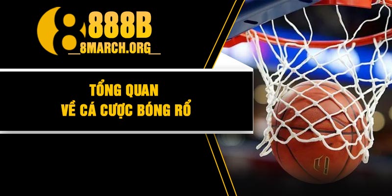 Tổng quan về cá cược bóng rổ